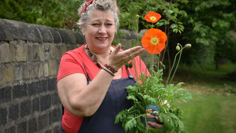 You, Me, Garden?