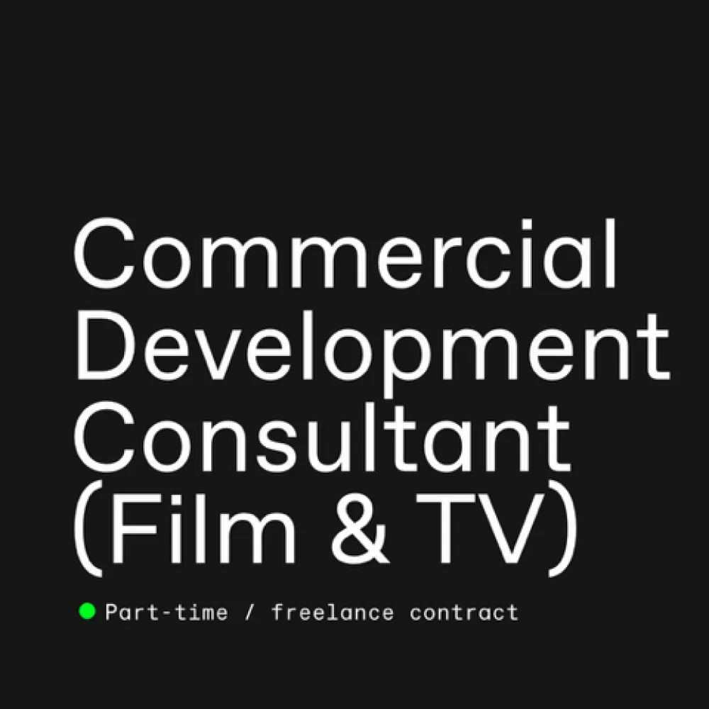 Commercial Development Consultant (Film & TV)